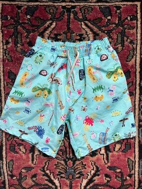 NWT Funny Insects Swim Shorts 4/5Y